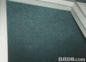 美意清洁公司 一站式家居清洁与灭虫解决方案