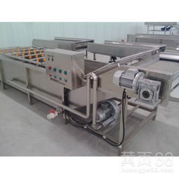 供应桔子清洗机与果蔬清洗设备 家居装饰中的健康生活新主张