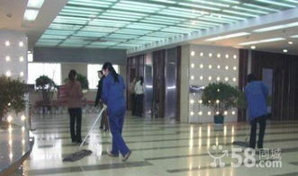 绵阳专业外墙清洗与家居装饰服务 打造洁净与温馨的居住与商业环境